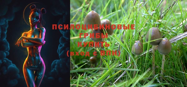 таблы Вязьма