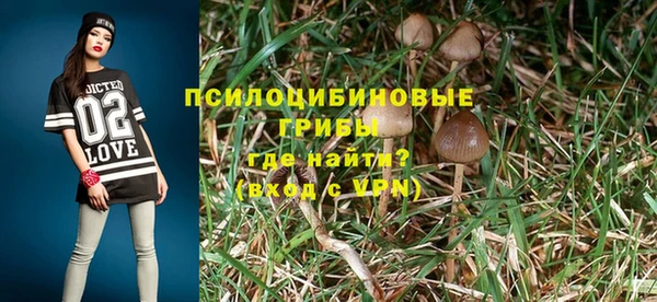 таблы Вязьма