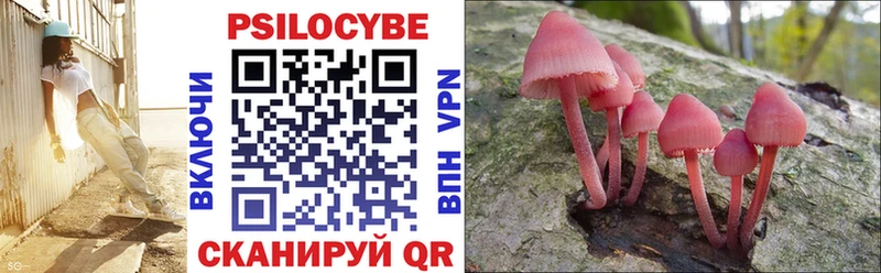 купить   мега ONION  Галлюциногенные грибы MAGIC MUSHROOMS  Медногорск 