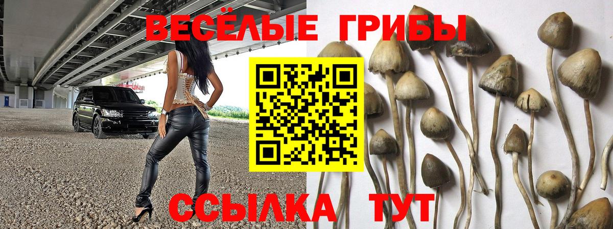 Codein Медногорск