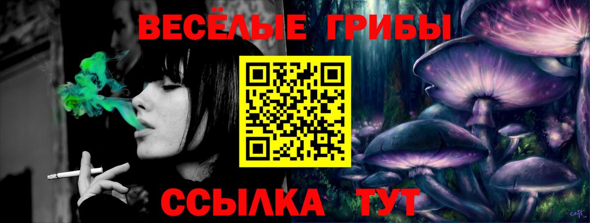 Псилоцибиновые грибы GOLDEN TEACHER  наркота  Галлюциногенные грибы GOLDEN TEACHER  Медногорск 