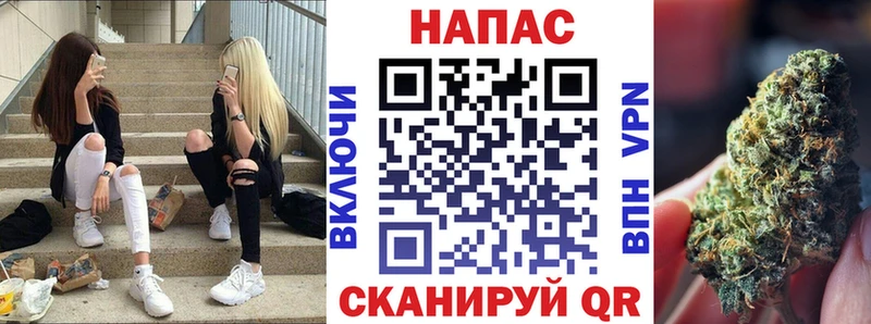 Бошки марихуана план  Медногорск 
