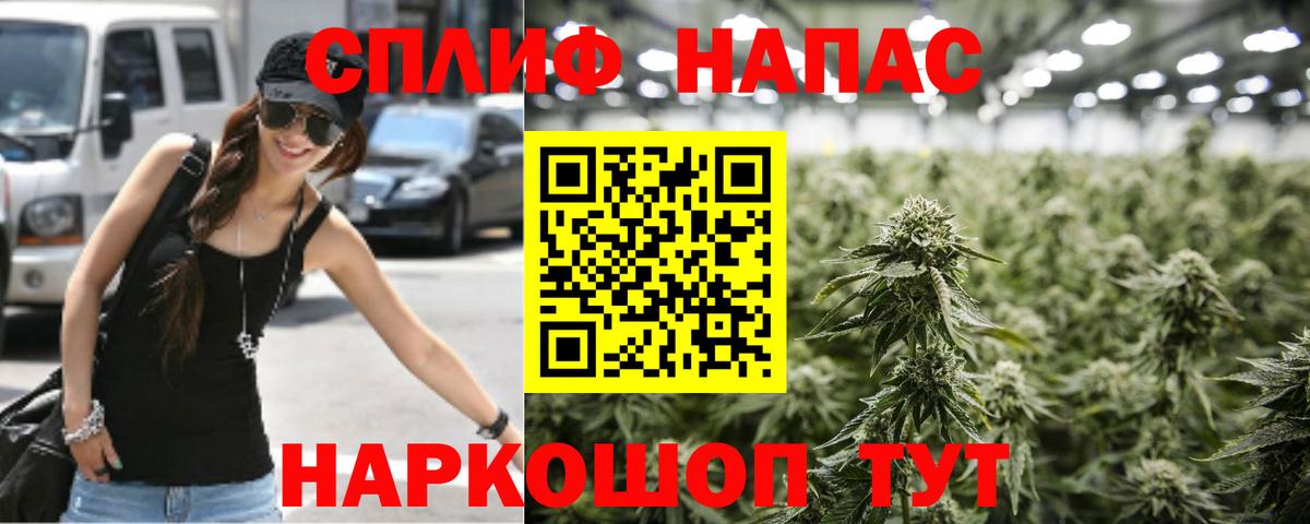 Каннабис ГИДРОПОН  Марихуана план  Марихуана THC 21%  Канабис SATIVA & INDICA  Медногорск 